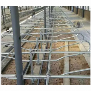 ODM OEM husbandry equipment Ox fence Cattle stall equipment cow cage