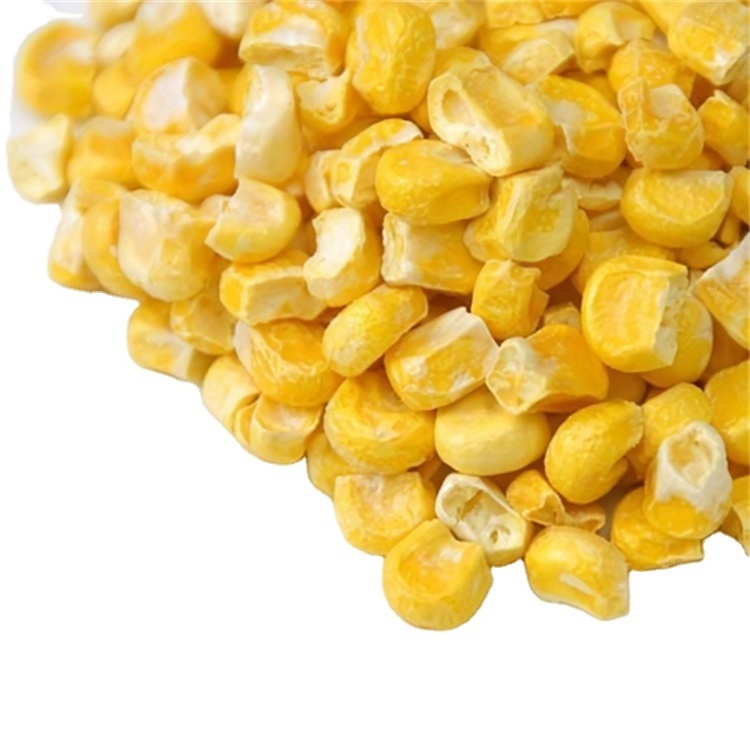 Supplier Factory Price Corn Cob Cut IQF Yellow Sweet Maize Whole Frozen Sweet Corn Cob IQF Frozen Sweet Corn Price