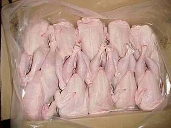 Top Quality Brazil Wholesale Chickens Frozen ,USA Frozen Whole Chicken