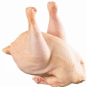 Top Quality Brazil Wholesale Chickens Frozen ,USA Frozen Whole Chicken