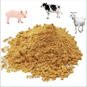 Corn gluten meal 60% protein/wheat bran/rice bran for chicken feed Additive Corn Gluten Meal