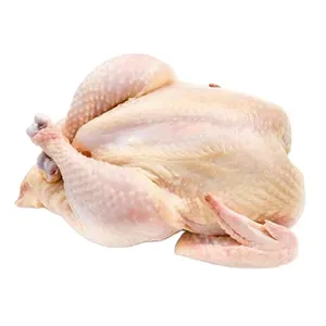 Top Quality Brazil Wholesale Chickens Frozen ,USA Frozen Whole Chicken