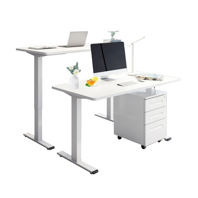 EFU-E6 Home Office Ergonomic Sit Stand Up Table Dual Motor Height Adjustable Computer Electric Standing Desk