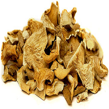 King Oyster Mushroom Spawn / Oyster Mushrooms 1kg