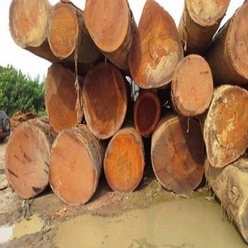 Africa Doussie / Tali / Azobe  / Padouk Wood Logs