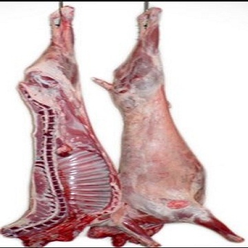 Frozen Lamb / Halal Frozen Lamb Meat