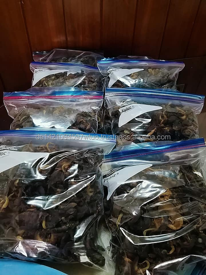 Fresh African Giant Snails/Processed Alive,Frozen,Dried ,Fresh Snails for sale