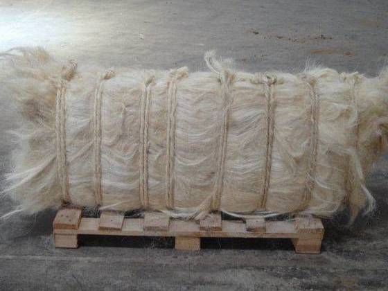 Sisal Fiber for sale