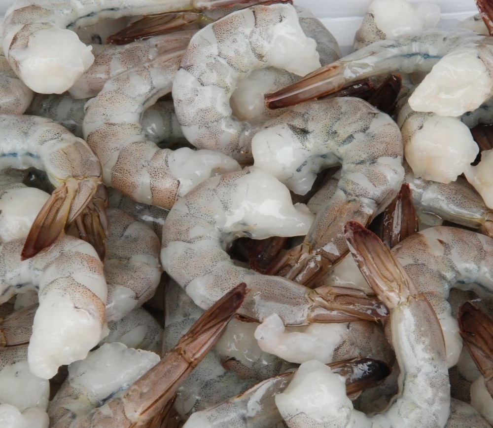 HOSO, HLSO, PD Fresh Frozen Vannamei Shrimps and White Shrimps from Vietnam