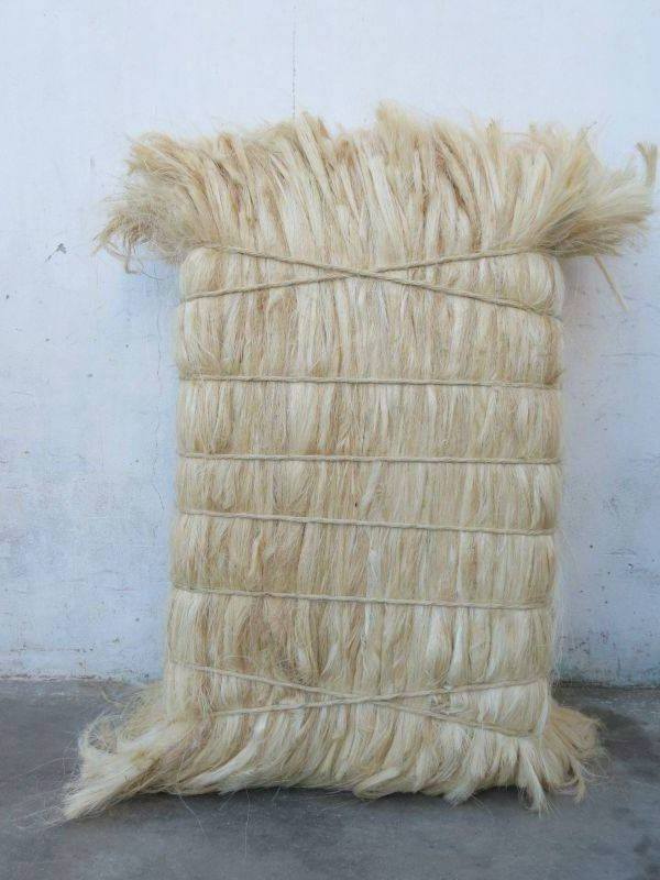 Sisal Fiber for sale