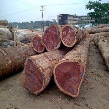 Sapele PADOUK, SAWN TIMBER WENGE, IROKO, DOUSSIE,