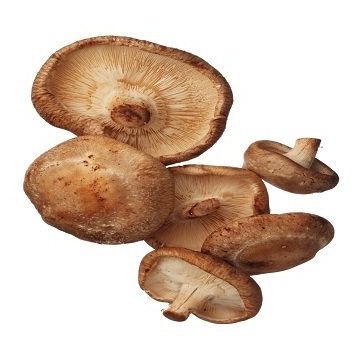 Bulk Dried Shiitake Mushrooms