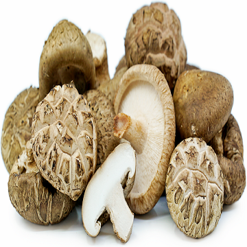 Bulk Dried Shiitake Mushrooms