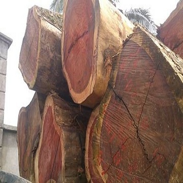 Africa Doussie / Tali / Azobe  / Padouk Wood Logs