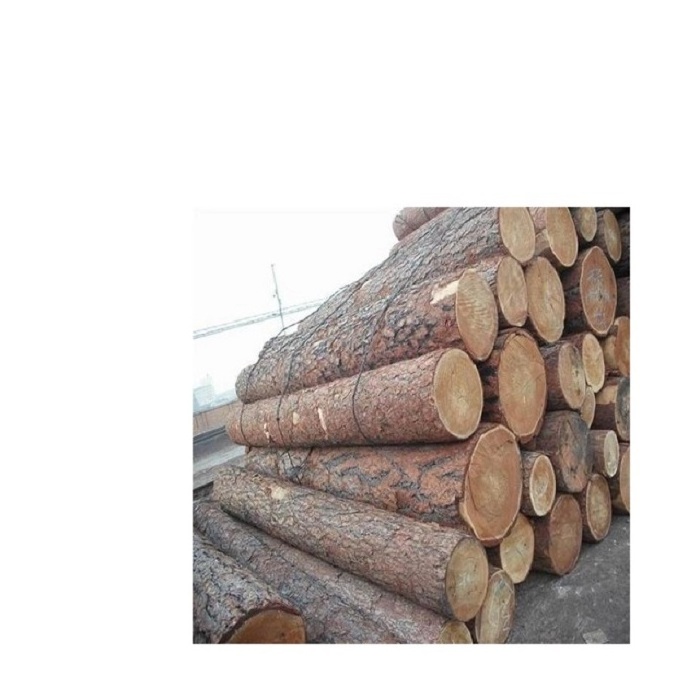 Sawn Teak Azobe logs/ Cherry logs For Sale at low costs.