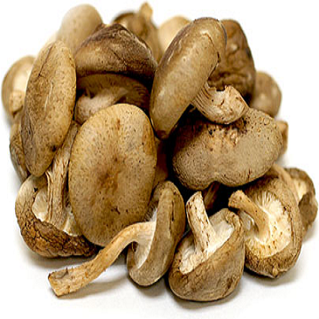 Bulk Dried Shiitake Mushrooms