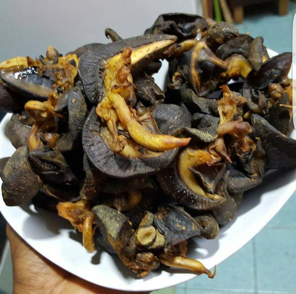 Frozen Snails, Dried African Giant Land Snails Meat wholesale offer cheap retails