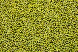 Non-GMO Nutritional Product Natural Bulk Dried Mung Beans Vigna Mung beans for Food