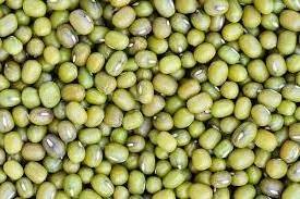 Non-GMO Nutritional Product Natural Bulk Dried Mung Beans Vigna Mung beans for Food