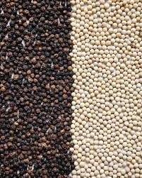 High Quality Bulk Black Pepper Black Dry Pepper