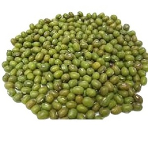 Non-GMO Nutritional Product Natural Bulk Dried Mung Beans Vigna Mung beans for Food