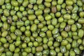 Non-GMO Nutritional Product Natural Bulk Dried Mung Beans Vigna Mung beans for Food