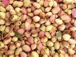 Kernel Pistachios for Sale Bulk Healthy Nut Green Organic Certified Pistachio Nuts Dried Raw Organic