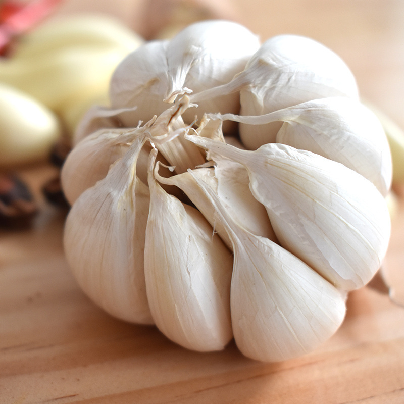 2024 new crop China/Chinese Fresh Red Garlic  5.0cm/5.5cm/6.0cm in bulk normal white.