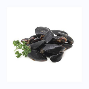 Frozen half mussels blue mussel shells with meat high quality