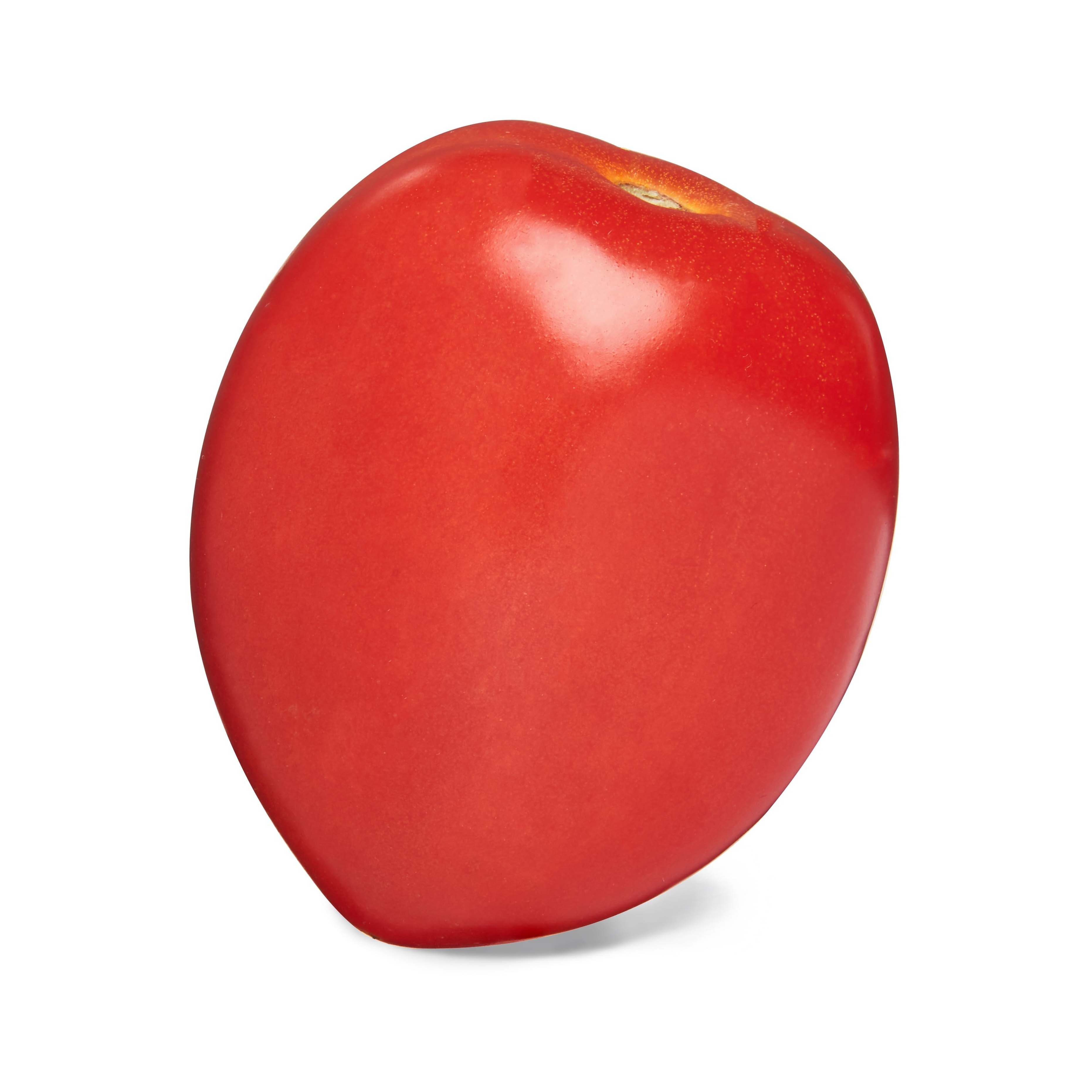 Cheap Prices Color Of Red Tomato Vegetable Fresh tomatoes Fast Shipping high Quality high quality fresh tomato factory price