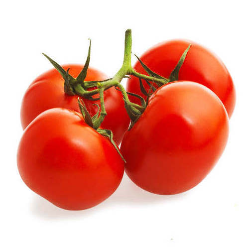 Fresh Tomatoes For Sale - FRESH TOMATOES from Netherlands- Organic Fresh Tomatoes Wholesale Price