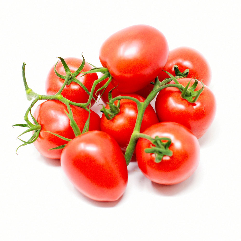 Fresh Tomatoes For Sale - FRESH TOMATOES from Netherlands- Organic Fresh Tomatoes Wholesale Price