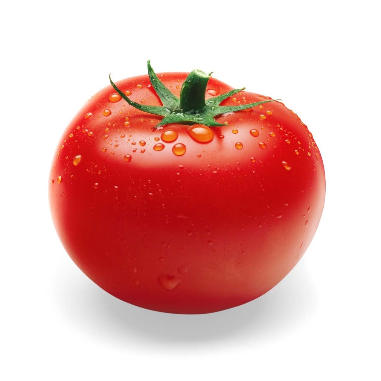 Cheap Prices Color Of Red Tomato Vegetable Fresh tomatoes Fast Shipping high Quality high quality fresh tomato factory price