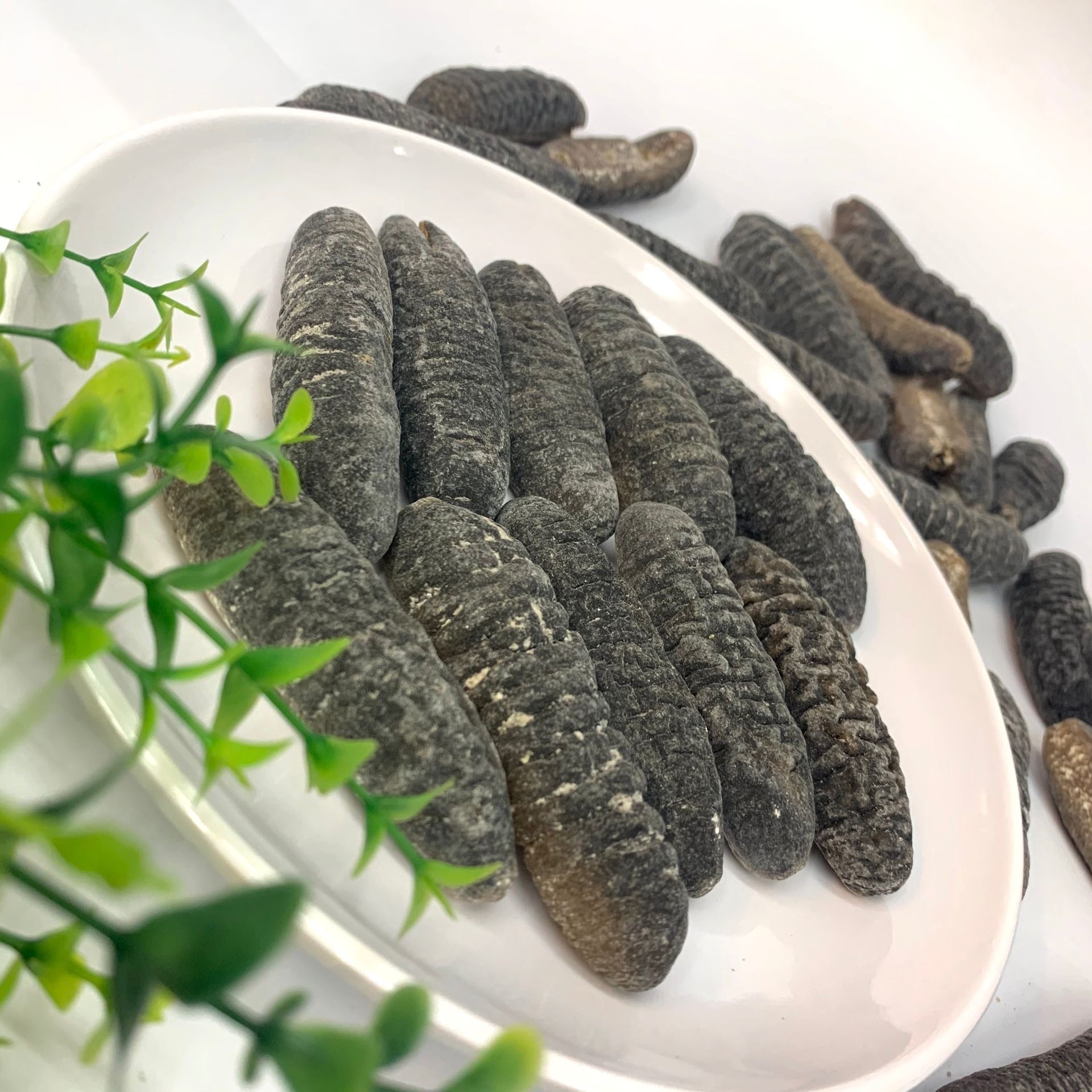 Wholesale Cheap Price Dried Sea Cucumber/Dried Sea Cucumber available for sale