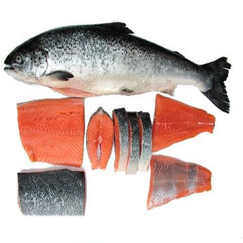 High Quality Fresh Salmon Fish For Sale Wholesale Frozen Fish Pink Fresh Salmon Fish Salmon