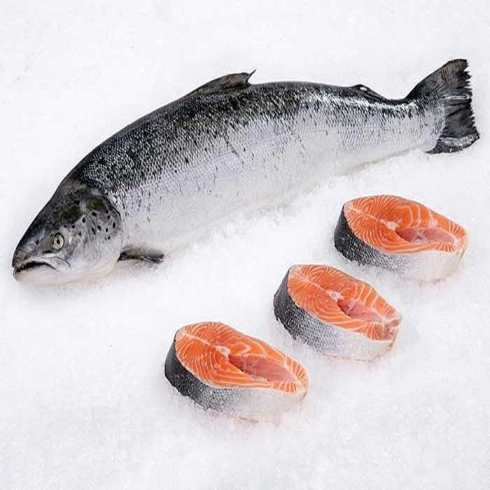 High Quality Fresh Salmon Fish For Sale Wholesale Frozen Fish Pink Fresh Salmon Fish Salmon