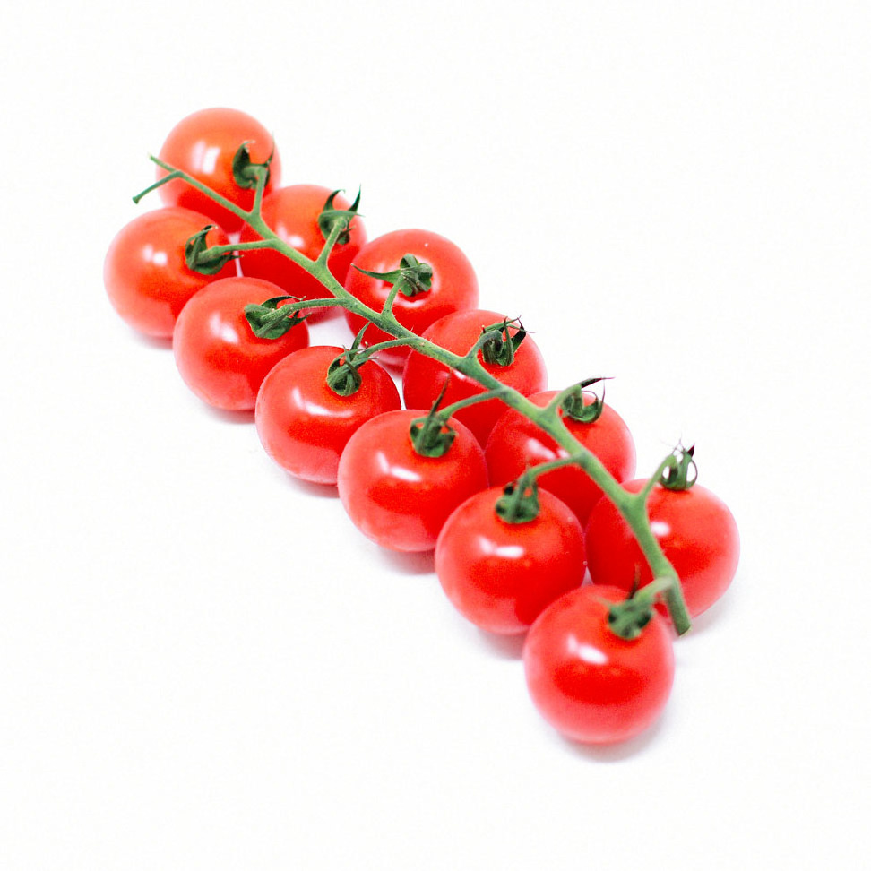 Fresh Tomatoes For Sale - FRESH TOMATOES from Netherlands- Organic Fresh Tomatoes Wholesale Price