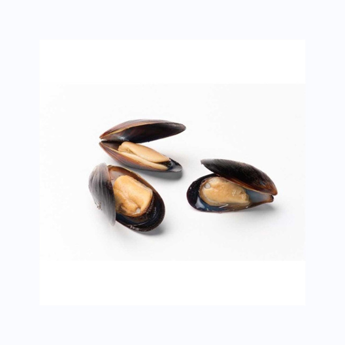 Frozen half mussels blue mussel shells with meat high quality