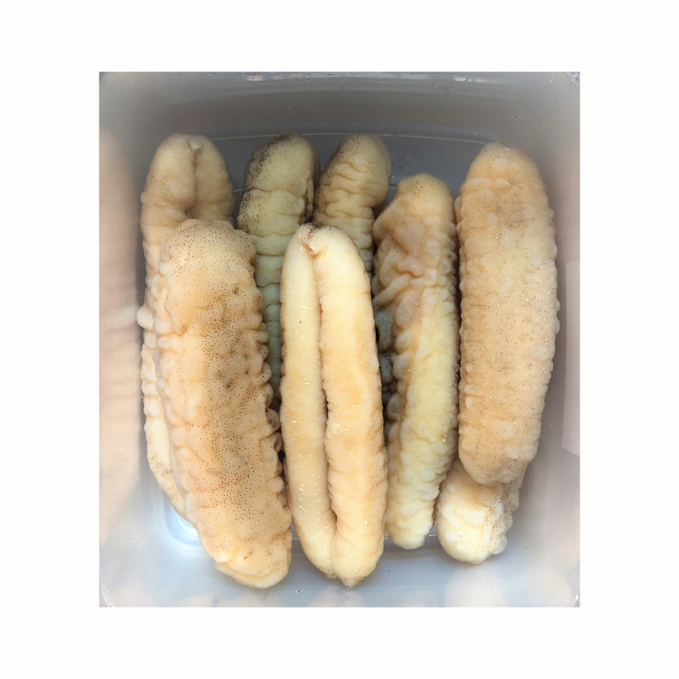 Wholesale Cheap Price Dried Sea Cucumber/Dried Sea Cucumber available for sale