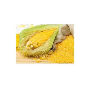 Corn Gluten Meal Yellow Corn COB Powder Granules Feed Additive Maize