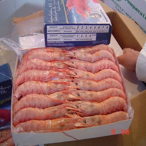 Canada Exports Hot Selling Prawn Freshwater Shrimps Seafood Wholesale Frozen Black Tiger Shrimp