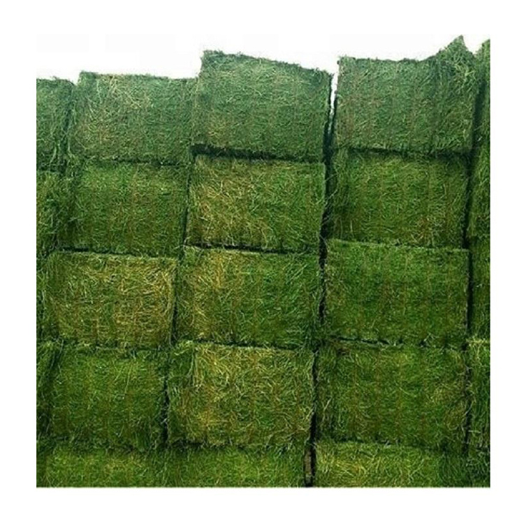 Buy Organic Alfalfa Grass Hay/ Alfalfa Hay Pellets For Animal Feed For Sale Bulk UK