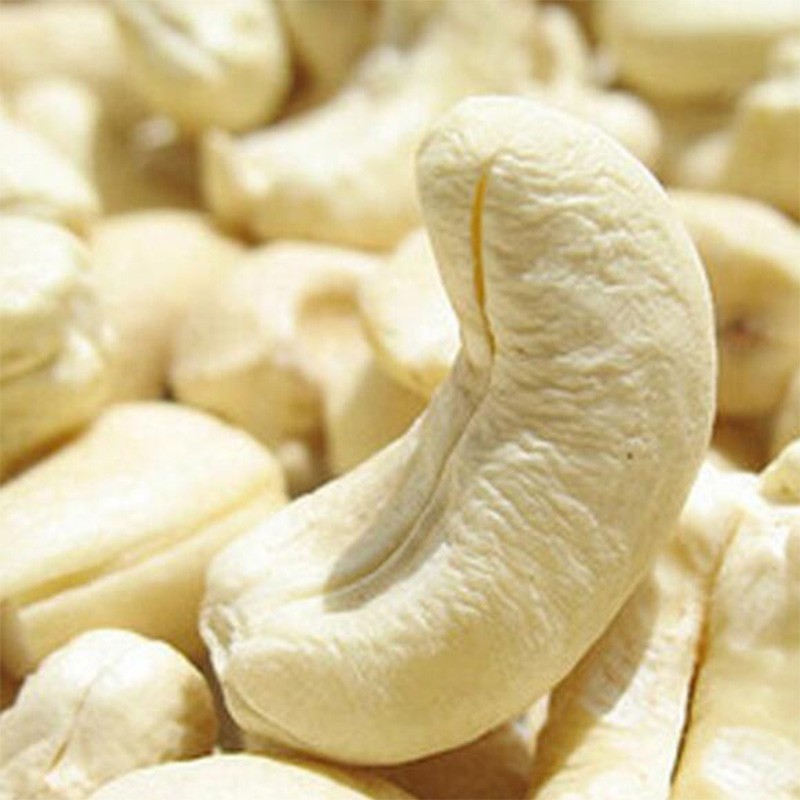 With Good Price And All Size Raw Salted Roast Cashew Nuts For Snack Made In Vietnam High Quality Raw Cashew Nuts