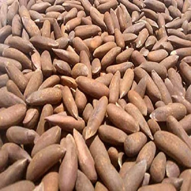 Factory direct sale Pakistan pine nuts OEM bulk Organic Healthy Snacks Pine seeds nuts for sale