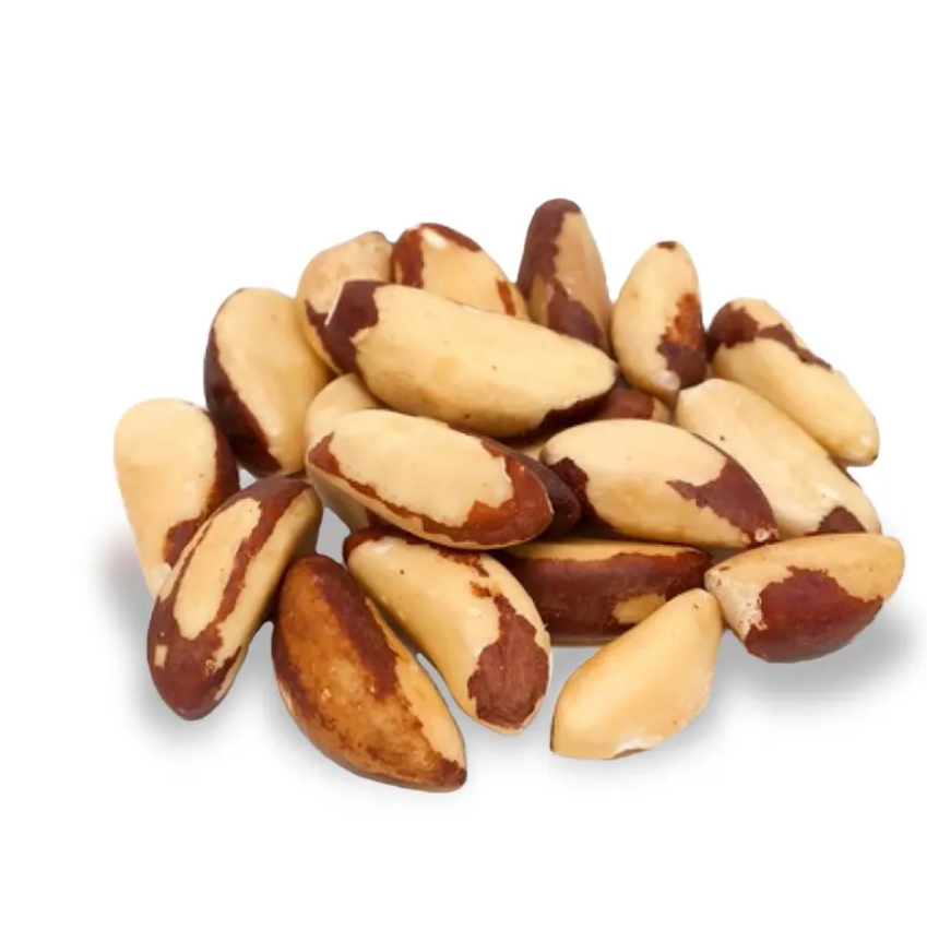 100% Pure Natural Peru High Quality Brazil Nuts Wholesale Bulk Export of Finest Quality Raw Brazil Nuts