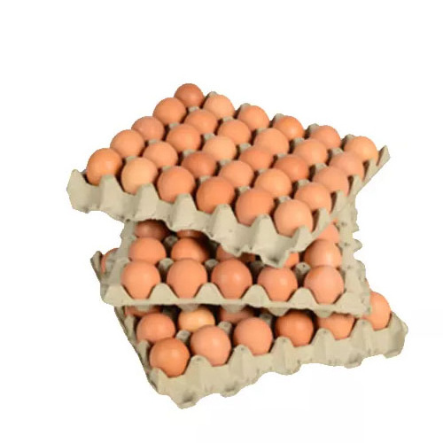 Best Quality Custom Made Wholesale Fertilized Chicken Eggs Cobb 500 Broiler Chicken Eggs Fresh Cobb 700 Fertile eggs