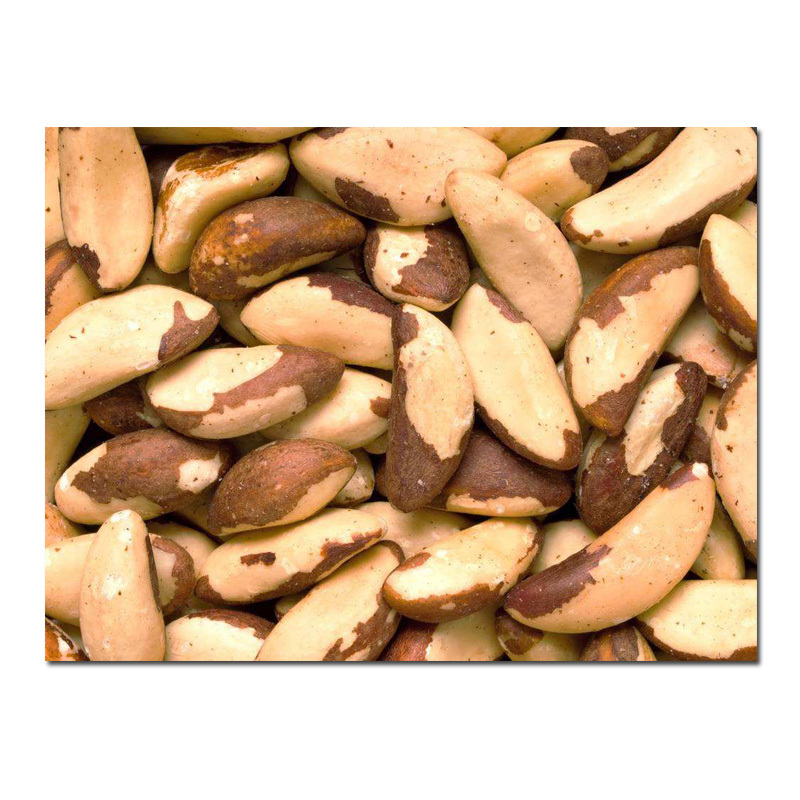 Wholesale Organic Brazil Nuts from Africa, Brazil at very low price highly nutritive brazil nuts