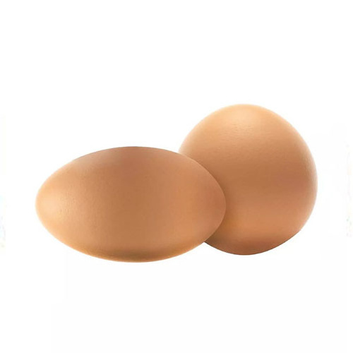 Best Quality Custom Made Wholesale Fertilized Chicken Eggs Cobb 500 Broiler Chicken Eggs Fresh Cobb 700 Fertile eggs