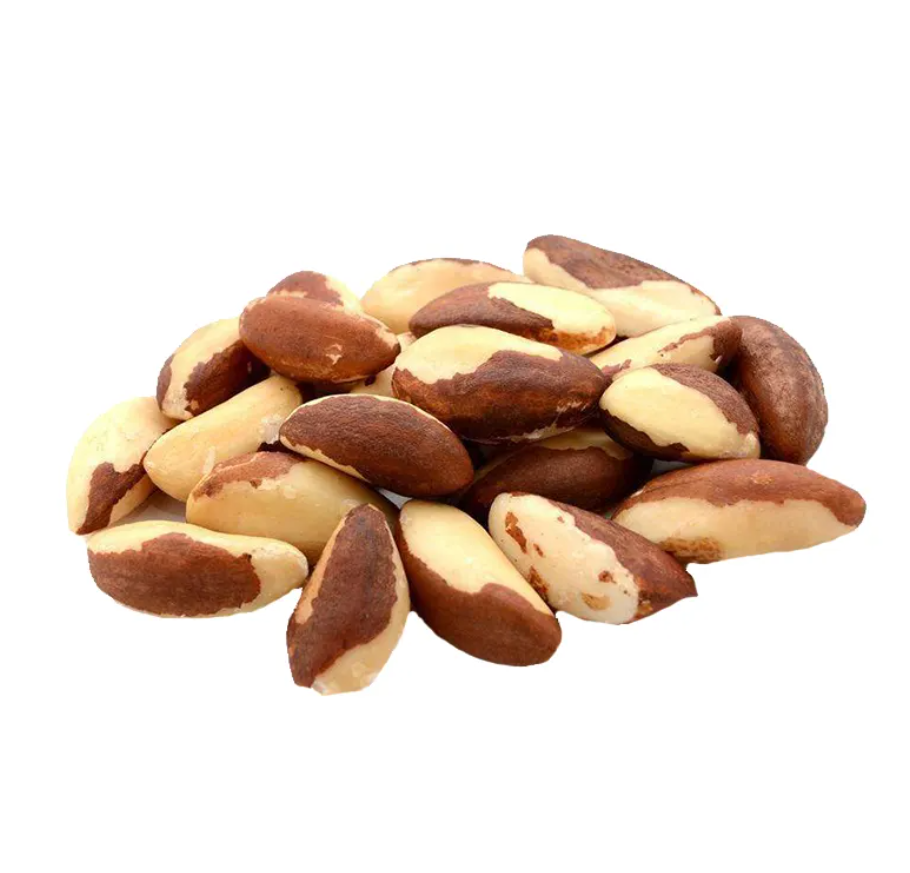 Brazil Nuts In Shell / High Quality Brazil Nuts /Cheap Price Brazil Nuts Available Cheap price