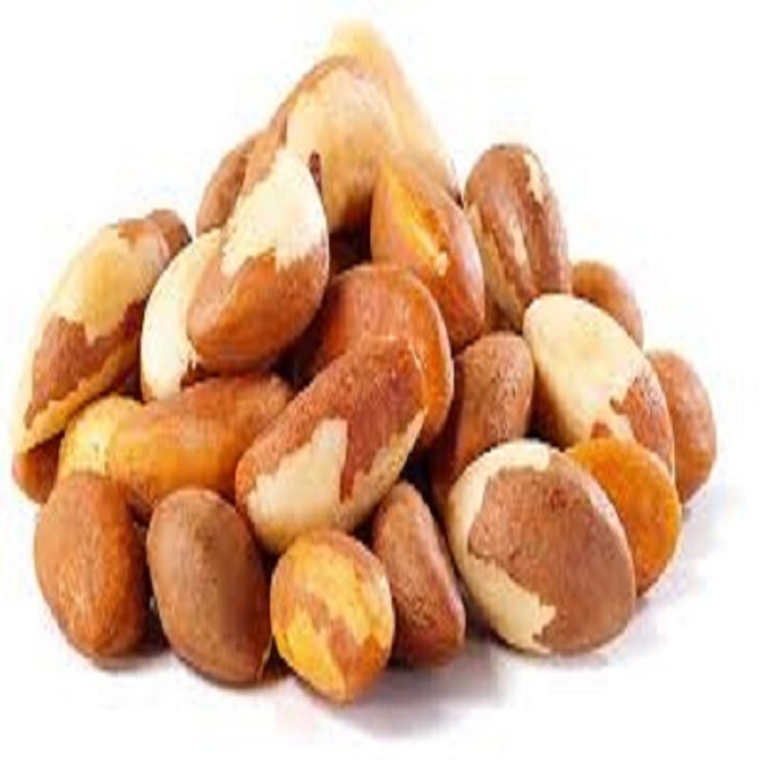 Wholesale Organic Brazil Nuts from Africa, Brazil at very low price highly nutritive brazil nuts